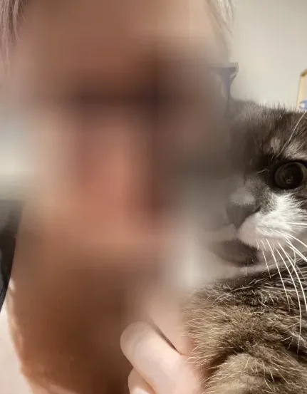 Neele, 40